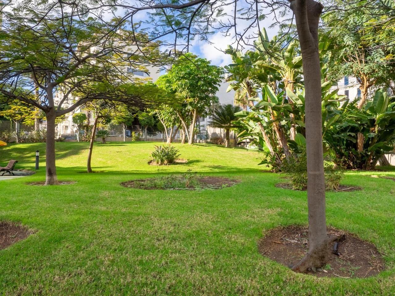 לאס פאלמס דה גראן קנאריה Apartment Abora Garden With Terrace, Pool, Extensive Gardens And Free Parking מראה חיצוני תמונה